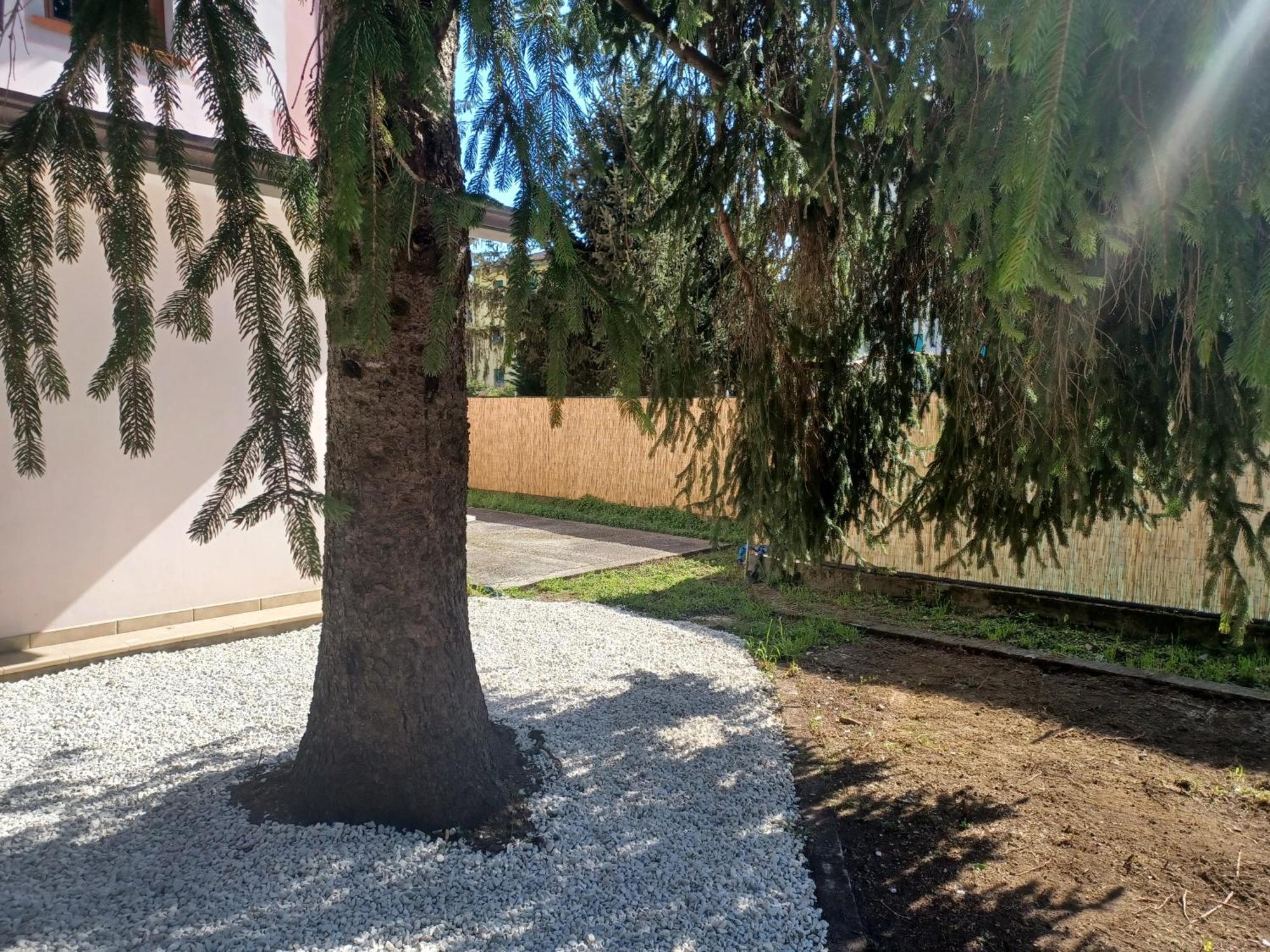 La Favola A Rovescio * Camaiore